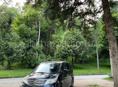 Honda Еlysion