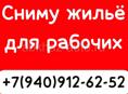 Сниму жилье 