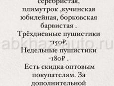 Цыплята читайте описание 