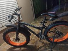 Aprilia