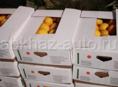 Цитрон продаю около 300 килограмм,
