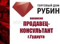 Продавец-консультант г ГУДАУТА