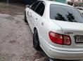 Nissan Bluebird