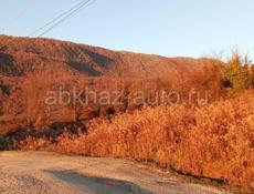 Участок 8 соток 