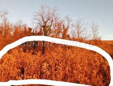 Участок 8 соток 