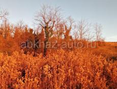 Участок 8 соток 