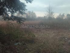 Алахадзы
