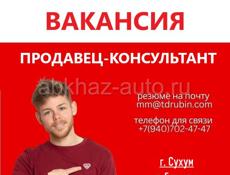 Продавец-консультант