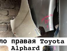 Toyota Alphard фары ,зеркала 