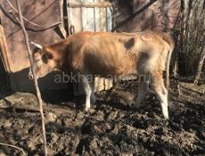 Продам 