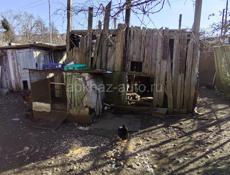 Участок. Цитрусовый завод