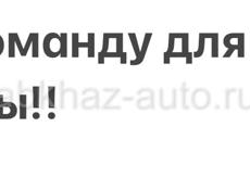 Ищу команду для сбора мимозы 