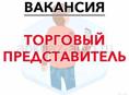 Торговый ПРЕДСТАВИТЕЛЬ 