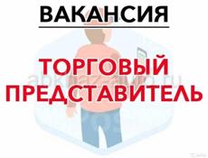 Торговый ПРЕДСТАВИТЕЛЬ 