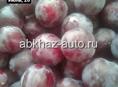 Продам Саженцы Алыча Обильная