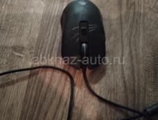 Snsv