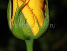 Продам срочно. 