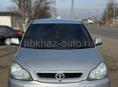 Toyota Ipsum