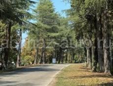 По дороге в аэропорт 1га 4 000 000
