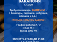 ОПЫТНЫЙ ПЕКАРЬ ВЫПЕЧКИ