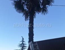 садовыеработы