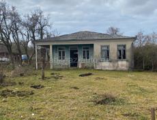 Сзади подорожника село Меркула 