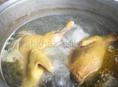 Куры петухи 
