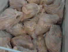 Домашние куры, гуси, утки, индюшки