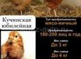 Кученская юбилейная 