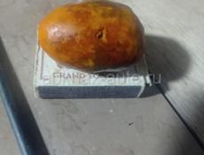 Куплю желчные камни коровы