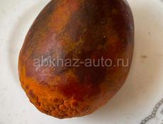 Куплю желчные камни коровы