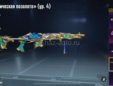 Обмен на Блэк рашу 