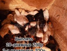 Продаю 