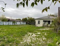 Цандрипш 