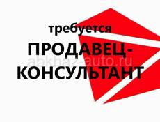 Продавец-консультант