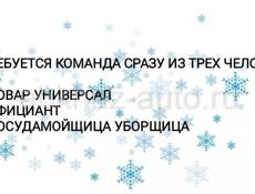 КОМАНДА СРАЗУ ИЗ ТРЕХ ЧЕЛОВЕК 