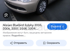 Нисса Блюбер 