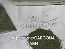 https://t.me/GARGONA_ABH