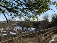 Участок 25 соток