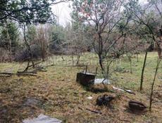 Участок с домом 20 соток Бзыбь