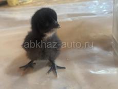 Продажа