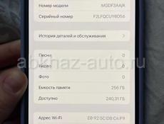 12 Про Мах 
