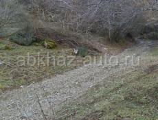 2 гектара по Рицинской трассе