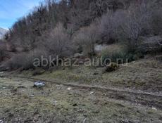 2 гектара по Рицинской трассе