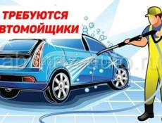 Требуется автомойщик
