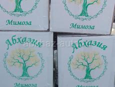 Продам Мимозу