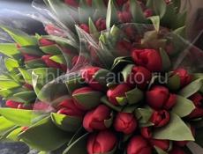 Тюльпаны🌷