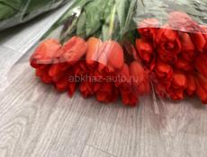 Тюльпаны 