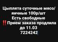 Цыплята суточные 100р
