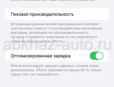 13 Про Макс в идеальном состоянии 